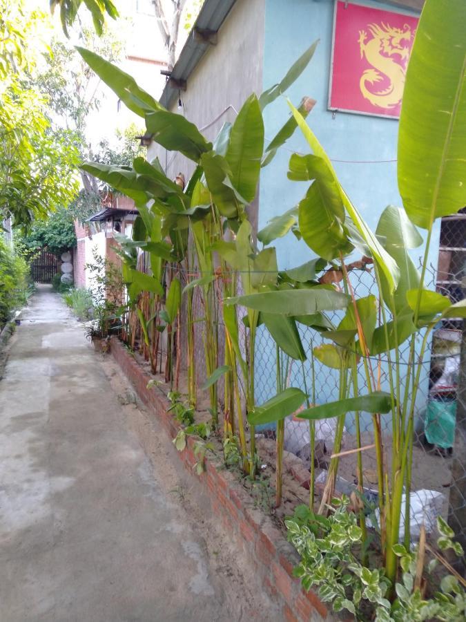 Pink Beach Homestay Hoi An Bagian luar foto