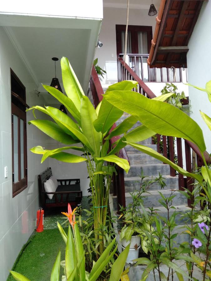 Pink Beach Homestay Hoi An Bagian luar foto